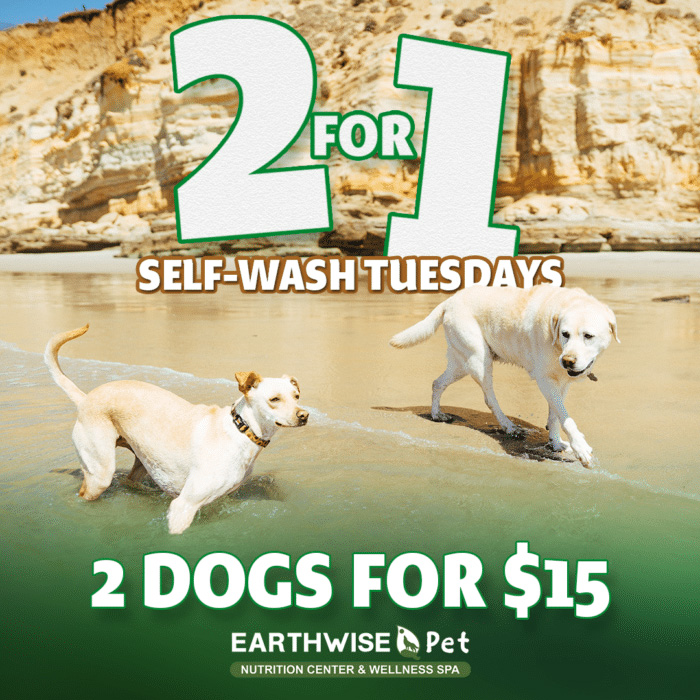 Earthwise-Pet